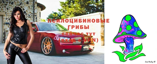 твердый Белокуриха