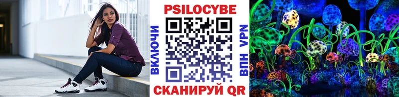 OMG зеркало  Надым  Псилоцибиновые грибы GOLDEN TEACHER 